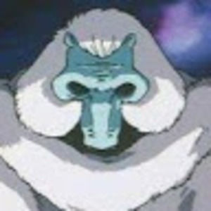 Meet your Posher, Frank